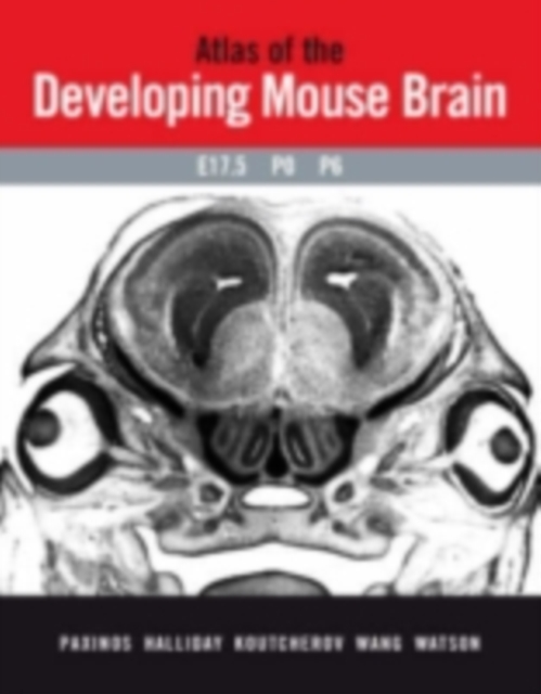 Book Cover for Atlas of the Developing Mouse Brain at E17.5, P0 and P6 by George Paxinos