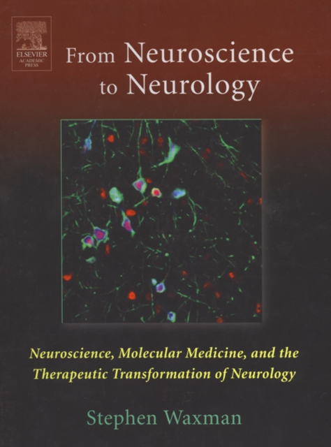 Book Cover for From Neuroscience to Neurology by Stephen Waxman