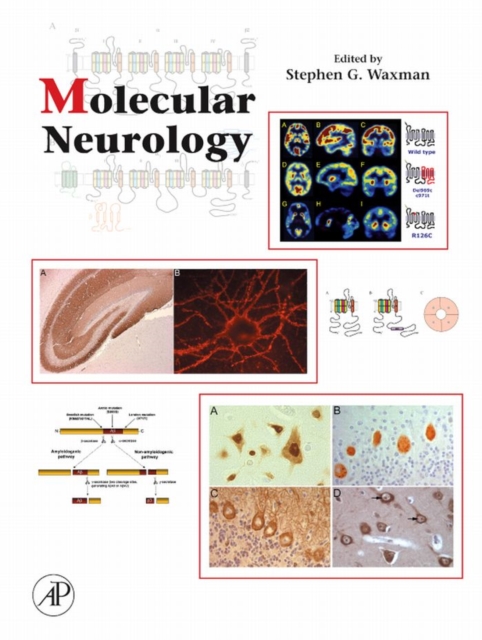 Book Cover for Molecular Neurology by Stephen Waxman