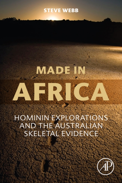 Book Cover for Made in Africa by Webb, Steve