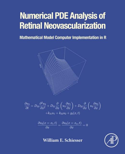 Numerical PDE Analysis of Retinal Neovascularization