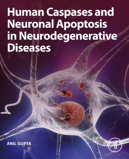 Book Cover for Human Caspases and Neuronal Apoptosis in Neurodegenerative Diseases by Anil Gupta