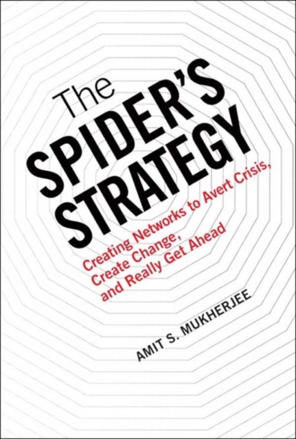 Book Cover for Spider's Strategy, The by Mukherjee, Amit S.