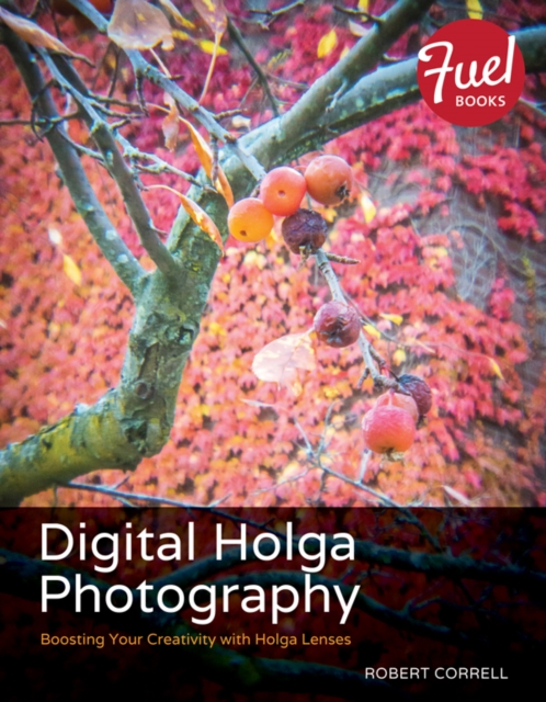 Digital Holga Photography