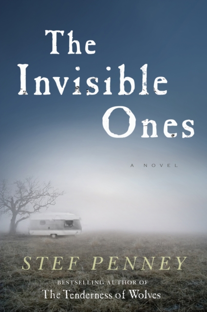 Book Cover for Invisible Ones by Stef Penney