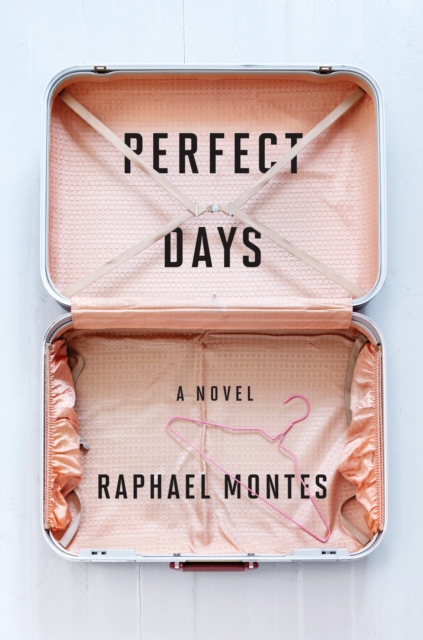 Book Cover for Perfect Days by Raphael Montes