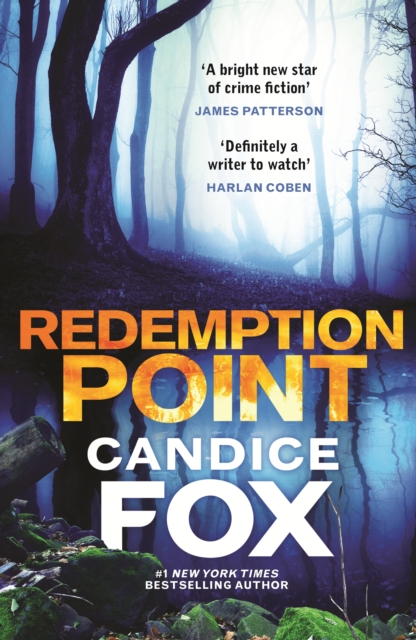 Book Cover for Redemption Point by Candice Fox