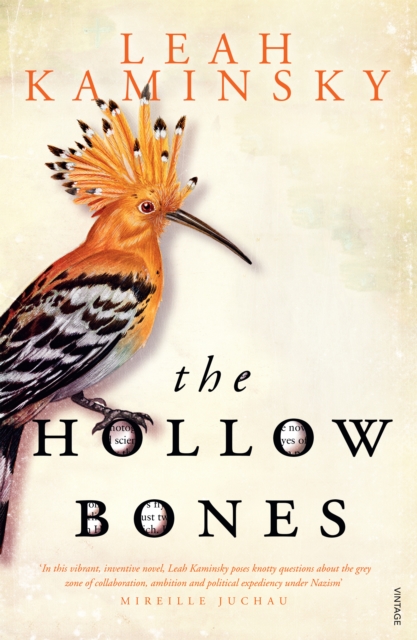 Book Cover for Hollow Bones by Leah Kaminsky