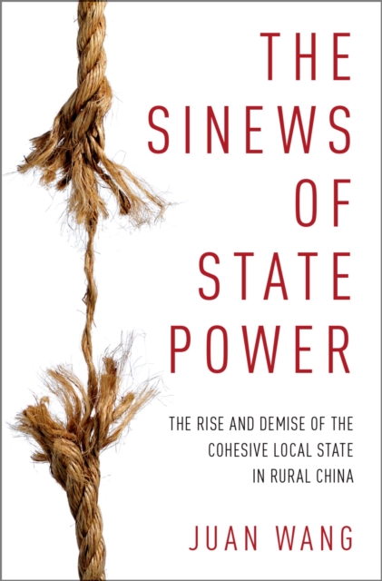 Sinews of State Power