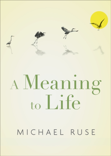 Book Cover for Meaning to Life by Michael Ruse