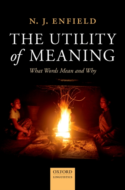 Book Cover for Utility of Meaning by N. J. Enfield