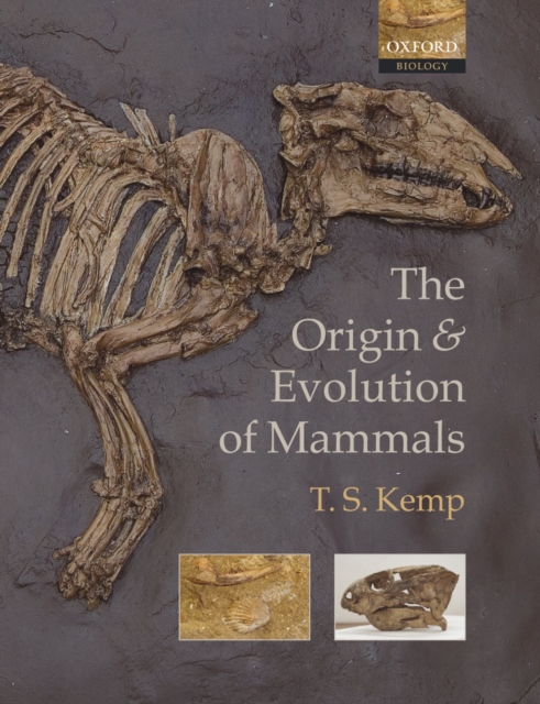 Book Cover for Origin and Evolution of Mammals by Kemp, T. S.