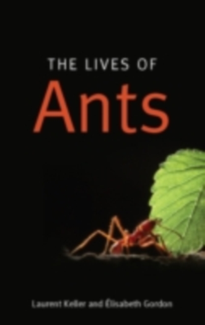 Book Cover for Lives of Ants by Laurent Keller, Elisabeth Gordon