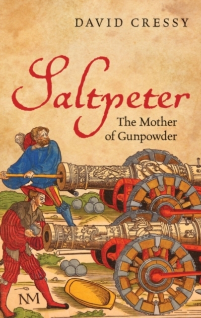 Book Cover for Saltpeter by David Cressy
