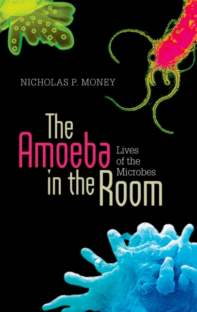 Book Cover for Amoeba in the Room by Nicholas P. Money