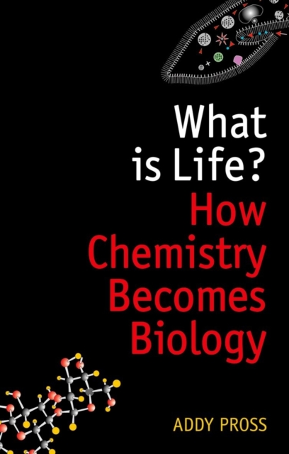 Book Cover for What is Life? by Addy Pross