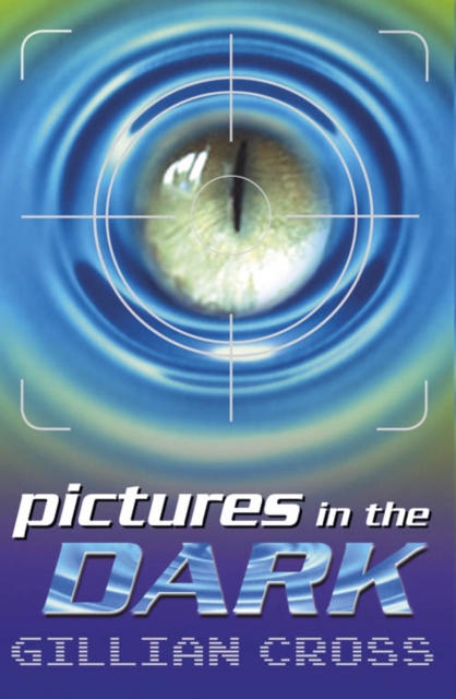 Book Cover for Pictures in the Dark by Cross, Gillian