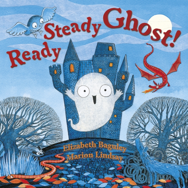 Book Cover for Ready Steady Ghost! by Elizabeth Baguley