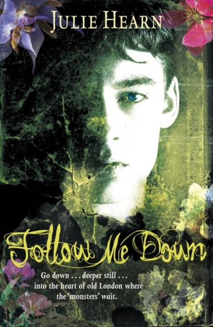 Book Cover for Follow Me Down by Julie Hearn