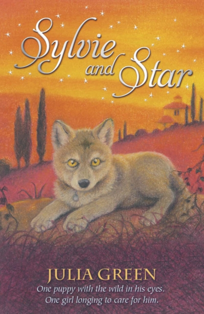 Book Cover for Sylvie and Star by Julia Green