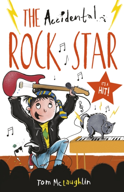 Book Cover for Accidental Rock Star by McLaughlin, Tom