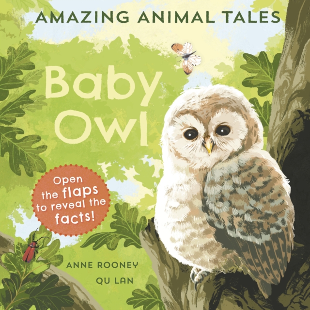 Book Cover for Amazing Animal Tales: Baby Owl by Rooney, Anne