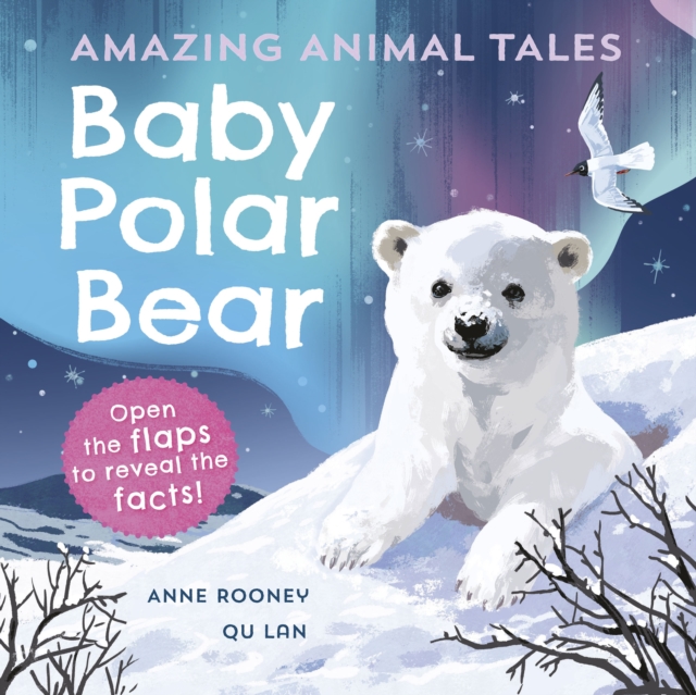 Book Cover for Amazing Animal Tales: Baby Polar Bear by Rooney, Anne