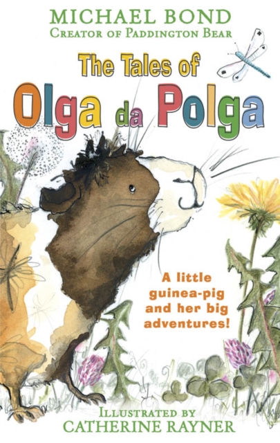 Book Cover for Tales of Olga Da Polga by Michael Bond