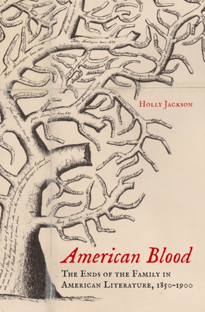 Book Cover for American Blood by Holly Jackson