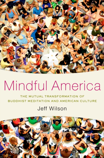 Book Cover for Mindful America by Jeff Wilson