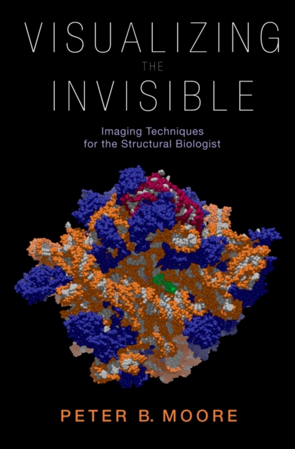 Book Cover for Visualizing the Invisible by Peter Moore