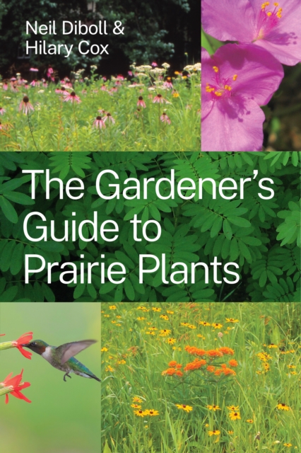 Book Cover for Gardener's Guide to Prairie Plants by Diboll Neil Diboll, Cox Hilary Cox