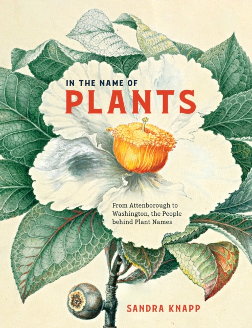 Book Cover for In the Name of Plants by Knapp Sandra Knapp