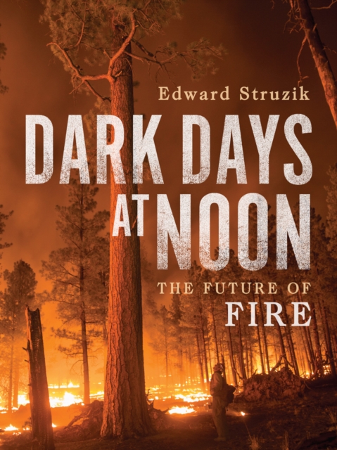 Book Cover for Dark Days at Noon by Edward Struzik