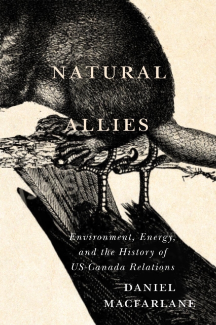 Book Cover for Natural Allies by Daniel Macfarlane