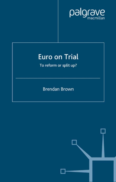 Book Cover for Euro on Trial by B. Brown