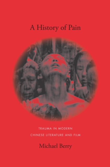 Book Cover for History of Pain by Michael Berry