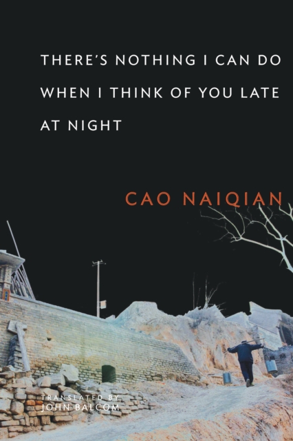 Book Cover for There's Nothing I Can Do When I Think of You Late at Night by Naiqian Cao