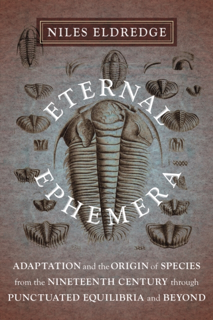 Book Cover for Eternal Ephemera by Niles Eldredge