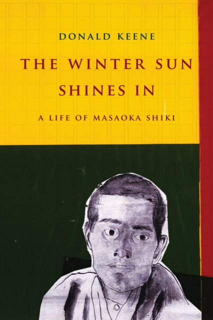 Book Cover for Winter Sun Shines In by Keene, Donald