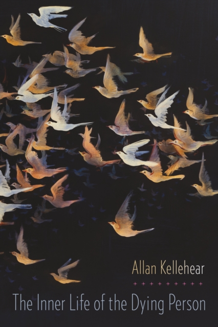 Book Cover for Inner Life of the Dying Person by Allan Kellehear