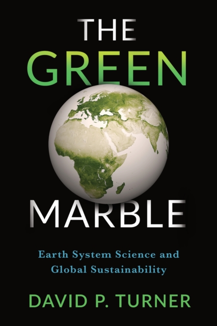 Book Cover for Green Marble by Turner, David