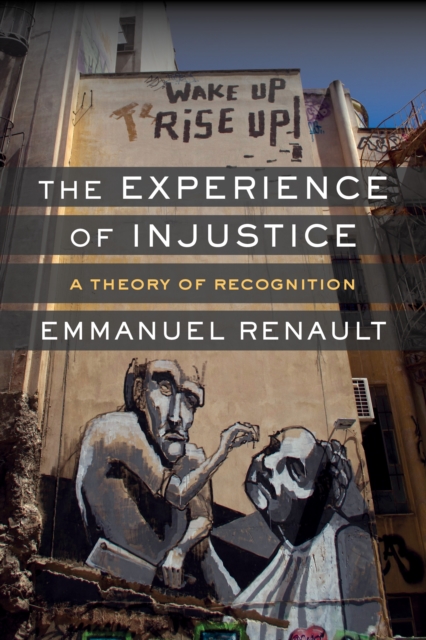 Book Cover for Experience of Injustice by Emmanuel Renault