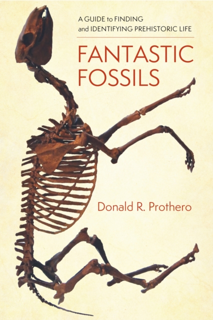 Book Cover for Fantastic Fossils by Donald R. Prothero