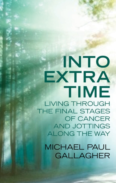 Book Cover for Into Extra Time by Michael Paul Gallagher