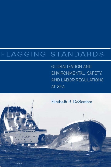 Book Cover for Flagging Standards by Elizabeth R. DeSombre