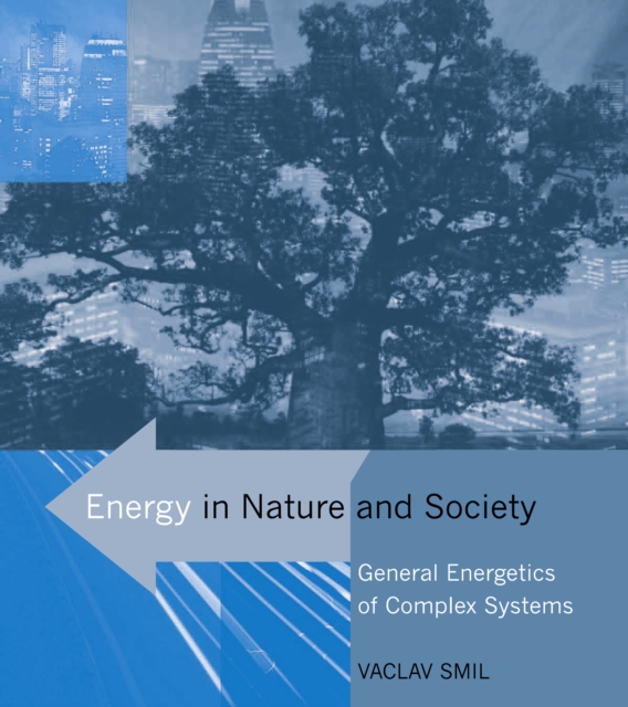 Book Cover for Energy in Nature and Society – General Energetics of Complex Systems by Vaclav (Distinguished Professor Emeritus, University of Manitoba) Smil