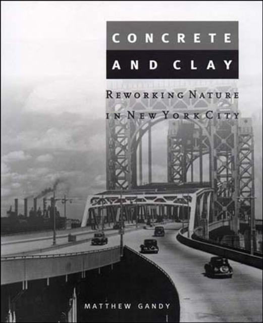 Book Cover for Concrete and Clay by Matthew Gandy