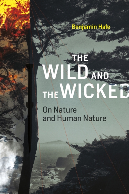 Book Cover for Wild and the Wicked by Hale, Benjamin