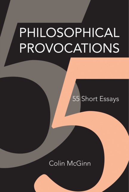 Book Cover for Philosophical Provocations by Colin McGinn